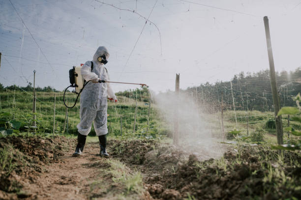 Best Best Pest Control Companies  in Hawkinsville, GA