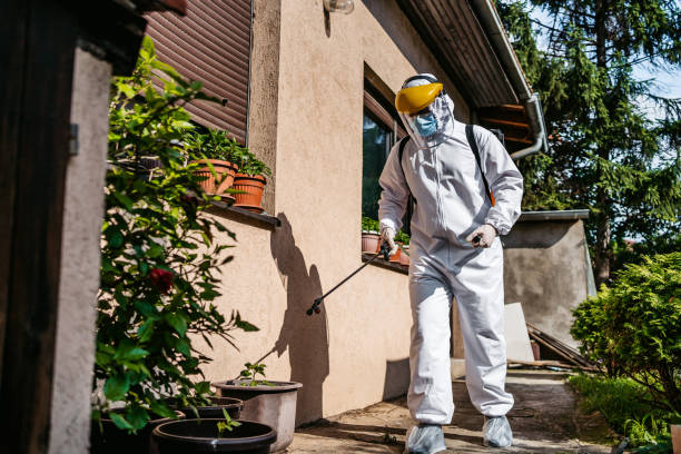 Trusted Hawkinsville, GA Pest Control Experts