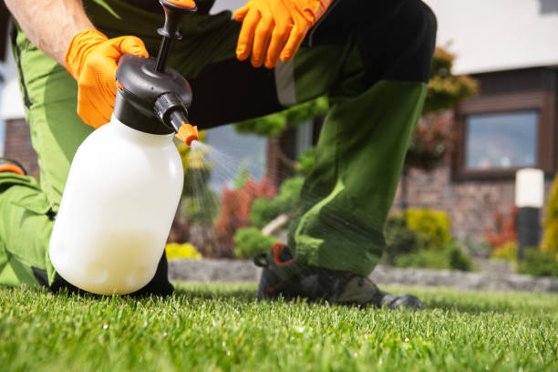 Best Insect Control  in Hawkinsville, GA