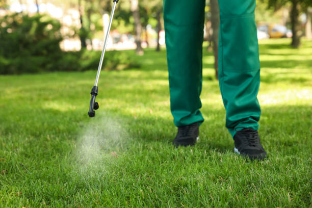 Best Pest Removal Services  in Hawkinsville, GA