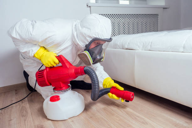 Best Wasp Removal Services  in Hawkinsville, GA