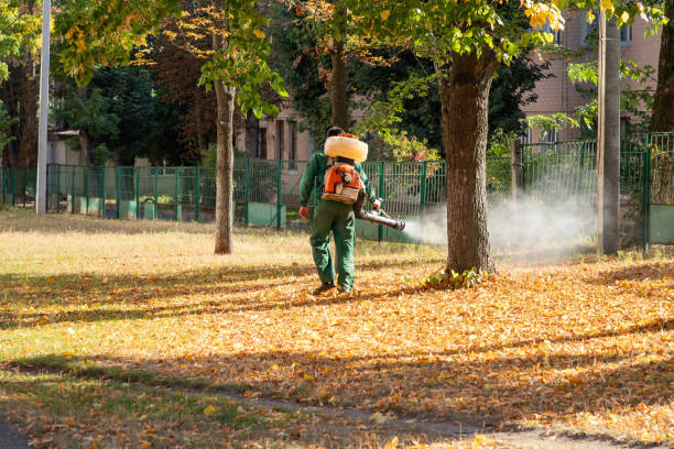 Best Residential Pest Control  in Hawkinsville, GA
