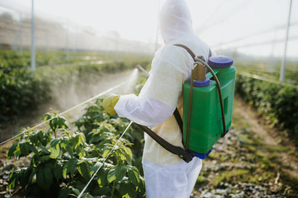 Best Wildlife Control Services  in Hawkinsville, GA